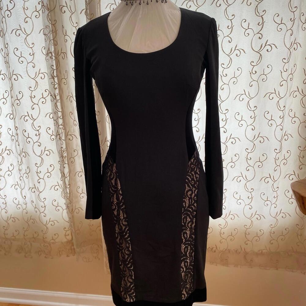Black Long Sleeve Dress with Lace Panels and Back Zipper